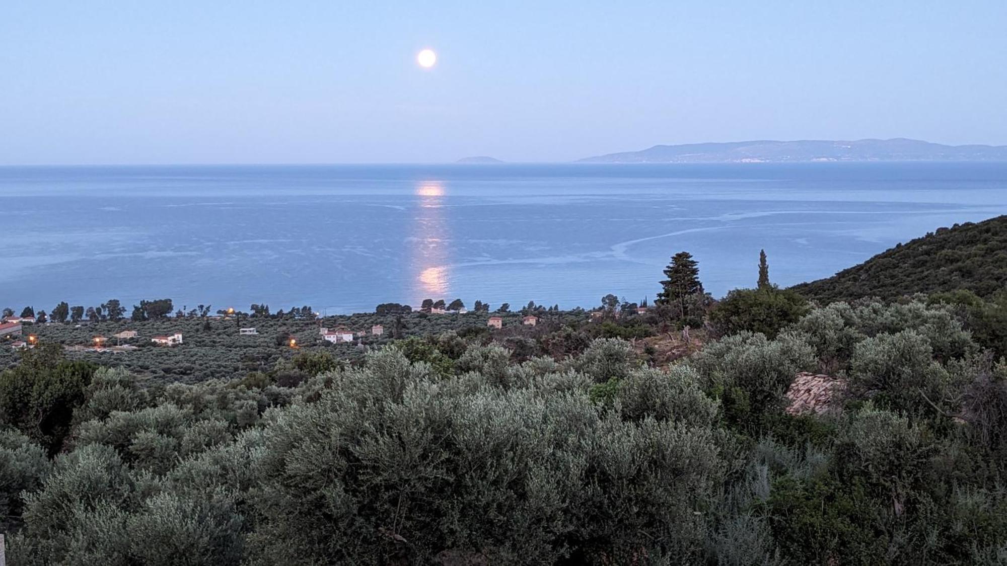 Magnificent, Authentic Private Villa And The Guest House Kardhamili Buitenkant foto